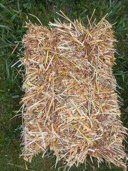 Slama male hranate baliky