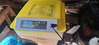 Prodej - líheň a odchovna kuřat