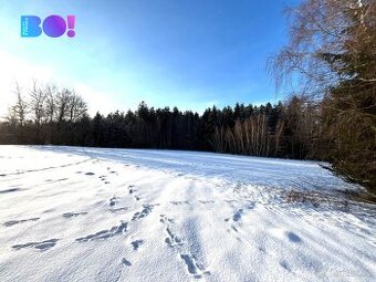 Prodej lesa, 43 856 m², Stržanov - 1