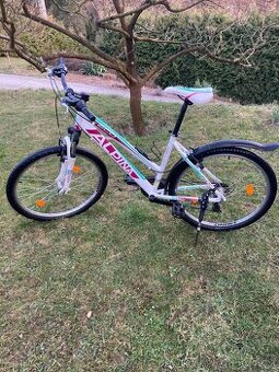 Dámské kolo ALPINA