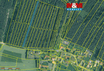 Prodej lesa, 2085 m², Dražíč