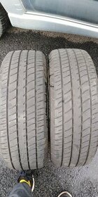 Zimní pneu Dunlop - 1