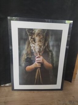Fotografie - 1