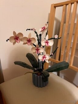 LEGO® Botanicals 10311 Orchidej