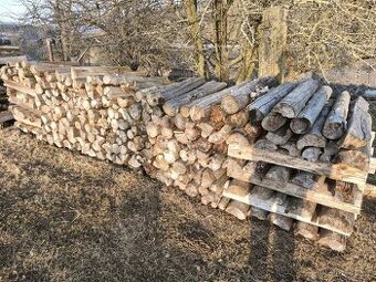 Palivové dřevo