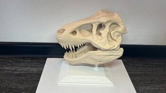 3d tisk hlava T-rexe Velka