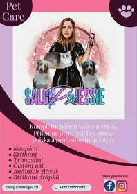 Psí a kočičí salon Jessie