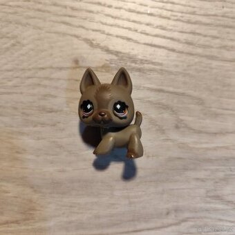 LPS littlest petshop zvířátka