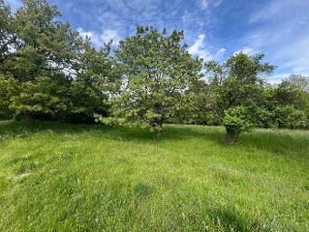 Rekreační pozemek 2 371 m² – Hřibojedy okr. Trutnov