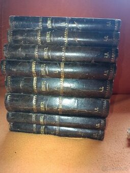 Bídníci – Victor Hugo + Švejk a další knihy