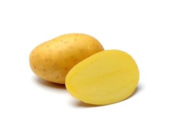 Brambory Antonie na uskladnění