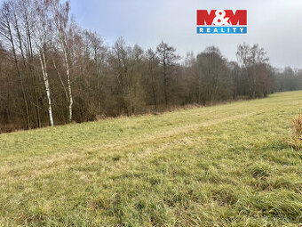 Prodej pozemku k bydlení 1009 m2 v Králíkách - 1