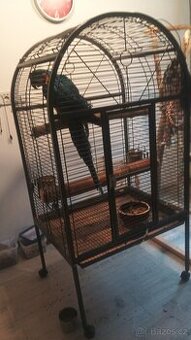 Prodam tuto klec