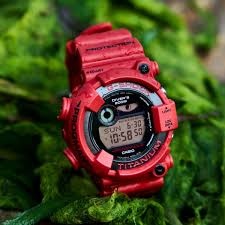 Casio Frogman - 1