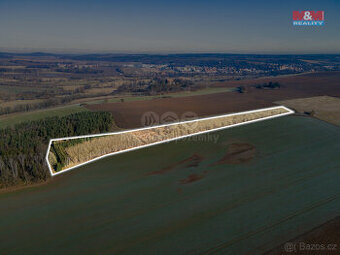 Prodej pole, 24512 m², Horšovský Týn