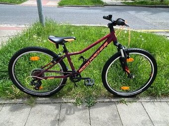 24" dívčí kolo Rock Machine Catherine na výšku 120-145cm