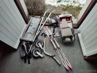 Thule Chariot CX1