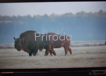 LED TV ORAVA 82cm