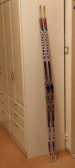 Zavodní běžky Salomon Equipe 10 skate 192 cm NNN