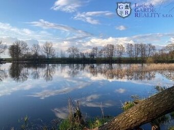 Prodej, rybník, Křivsoudov