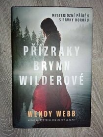 Přízraky Brynn Wilderové- Wendy Webb