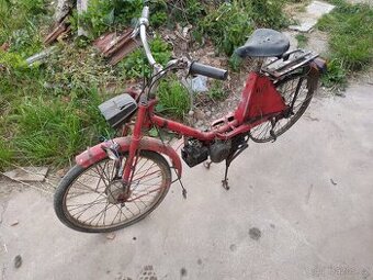 Babeta 228