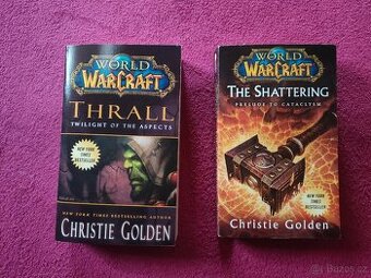 World of Warcraft - Thrall ToA & The Shattering