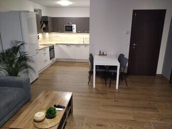 Pronájem bytu 2+kk v novostavbě, Třída J. Pelikána, Olomouc