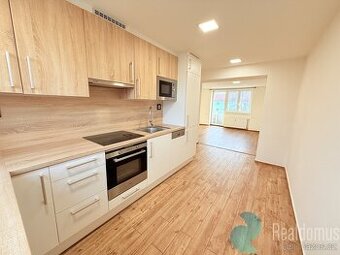 Pronájem, byt 2+1, Pražská ul., České Budějovice, sklep, bal