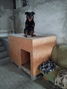Psí bouda. Střední až velká plemena.