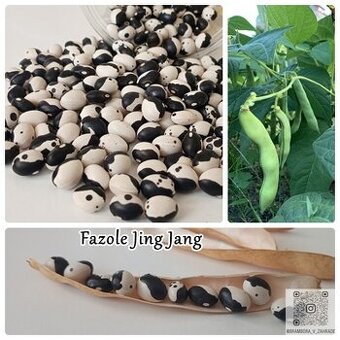 semínka, zelenina, bylinky, koření, okrasné květiny a trávy