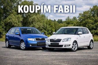 Hledám Škoda Fabia /Roomster