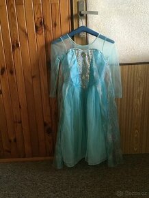Kostým Elzy