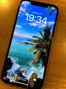 iPhone 12 pro max