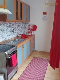 Pronájem bytu 1+1 42 m², Hlavní, Aš
