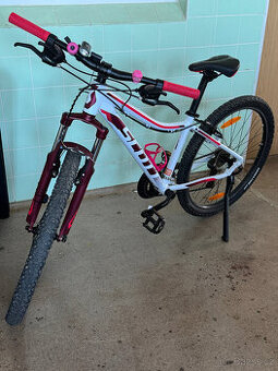 SCOTT CONTESSA JR26