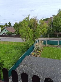 DARUJI kroucenou vrbu.