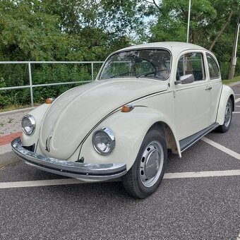VW Brouk 1300