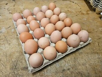 Domácí vejce z volného chovu