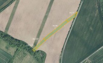 Sady, vinice, prodej, Zdislavice, Troubky-Zdislavice, Kroměř