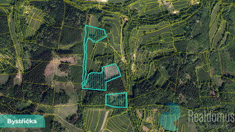 Prodej, les, Bystřička II, LV 1062, 4/10