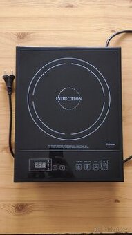 Indukcni varic - Profesor