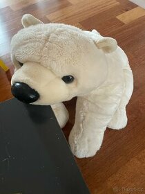 Lední medvěd velky - 1