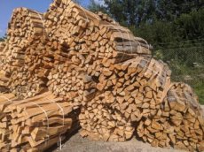 Palivové dřevo buk, smrk a bříza Prachatice