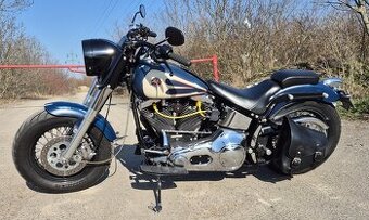 Harley-Davidson Evo