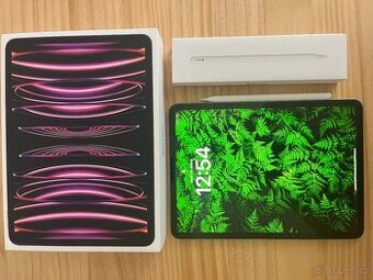 iPad Pro 11 M2 256GB vesmírně šedý