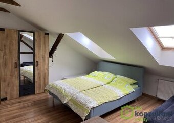 Pronájem bytu 2+kk, 55 m2 - Ostrava - Vítkovice, ev.č. 00794