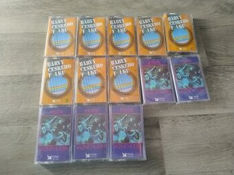 MC Barvy českého folku /Mistři vážné hudby