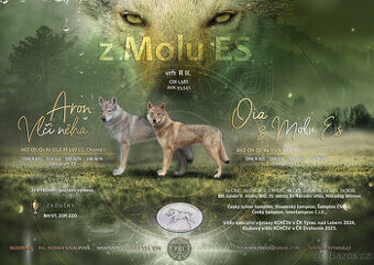 Československý vlčák s PP