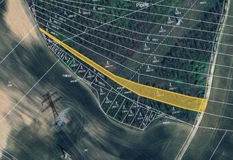 Prodej lesu v k.ú. Moravský Krumlov, ev.č. 2025-10-31-115827